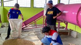 Lestarikan Bumi, Program Desa Energi Berdikari Pertamina Dorong Produksi Pangan Desa