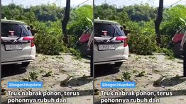 Truk Tabrak Pohon, Tumbang Timpa Mobil Putih Sampai Ringsek di Jonggol Siang Ini