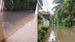 Katon Bagaskara Protes ke Pramono Gegara Rumahnya di Senayan Kebanjiran: Saya Mohon Sekali