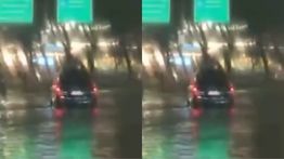  Hujan Es, Angin Kencang, Pohon Tumbang dan Banjir di Tangsel