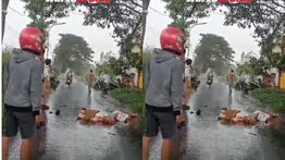 Tragis, Dua Siswi SMP Boncengan Dihantam Truk Sampai Tewas Mengenaskan di Pasuruan
