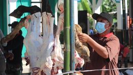 Tips Mengolah Daging Kurban Agar Empuk, Lezat dan Bebas Bau Prengus
