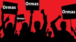 Jumlah Ormas di Indonesia Ada 554 Ribu, Pulau Jawa Terbanyak