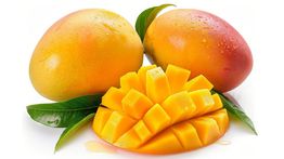 Manfaat Buah Mangga yang Semanis Rasanya