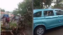 VIDEO: Taksi Remuk Tertimpa Pohon Tumbang di Tangerang