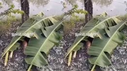 Geger! Warga Temukan Mayat di Taman Sungai Kendal Jakut