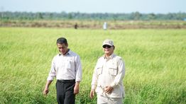 Cadangan Beras Tembus 4 Juta Ton, Mentan Amran: Terbesar dalam Sejarah
