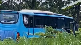 Diduga Rem Blong, Bus di Salatiga Terlibat Kecelakaan Maut