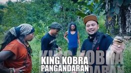 Panji Petualang Kembali Lewat Program Baru 'Petualang Nusantara' di Nusantara TV