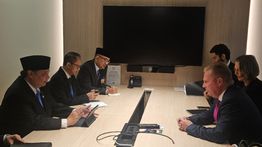 Setelah Nanas, Menko Airlangga Targetkan RI Ekspor Pisang, Mangga Hingga Pepaya ke Selandia Baru