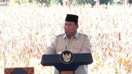Prabowo: Tahun 2026 Indonesia Tidak Impor Jagung Lagi, Tapi Ekspor