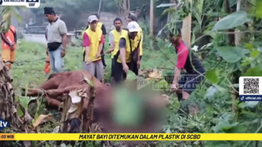 NT Corporation Tingkatkan Silaturahmi dan Kebersamaan Melalui Kurban Idul Adha 1446 H