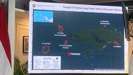 Profil 4 Perusahaan Tambang Nikel di Raja Ampat yang Izinnya Dicabut Presiden