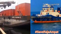 Viral Kapal Pengangkut Nikel "JKW Mahakam" dan "Dewi Iriana", Ini Pemiliknya
