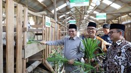Tingkatkan Kesejahteraan Mustahik, BAZNAS RI Resmikan Balai Ternak di Cirebon