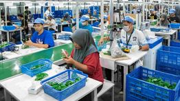 Industri Mainan Nasional Raup Surplus dalam 5 Tahun Terakhir, Ekspor 2024 Tembus Rp10 Triliun