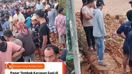 Tembok Pembatas Acara Karapan Sapi Roboh di Sumenep, 1 Orang Penonton Tewas Terkapar