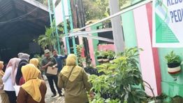 Sejumlah Sekolah di Madiun Tanam Cabai hingga Tomat sebagai Program Peduli Inflasi