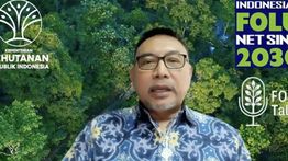 Kemenhut Sebut Kaltim Jadi Pelopor Pendanaan Iklim RBP