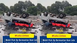 VIDEO: Pick Up Muatan Lele Terbalik di Ruas Tol Jakarta-Cikampek