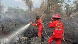 Polres Kampar Riau Usut Dugaan Lahan 30 Hektare Sengaja Dibakar