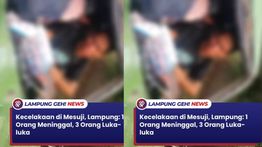 Kecelakaan Maut Dua Mobil di Mesuji, 1 Orang Tewas Mengenaskan