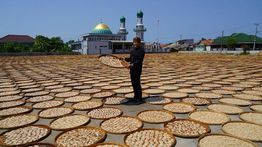 Guru Besar IPB Dorong Pemerintah Susun Roadmap Hilirisasi Kelautan untuk Dorong Ekonomi Biru