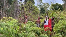 Kemenhut Siapkan Penetapan 14 Lokasi Menjadi Hutan Adat