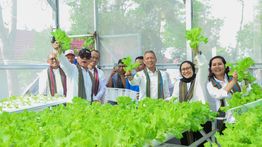 Pertamina Hijaukan Hutan Lombok, Komitmen Pelestarian Lingkungan Berdampak Nilai Ekonomi