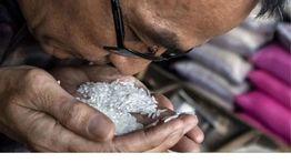 BPS: Beras, Tomat Hingga Cabai Rawit Jadi Penyebab Utama Inflasi Juli 2025