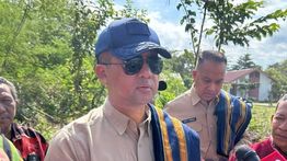 Mentrans: Brasil Tertarik Investasi Sektor Peternakan Sapi Sumba Timur