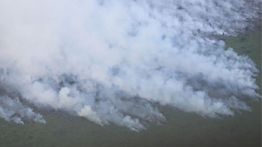 Seluruh Titik Api di Riau Padam Berkat Operasi Modifikasi Cuaca BMKG dan BNPB