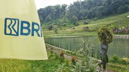 BRI Kucurkan KUR Rp83,38 Triliun, Sektor Pertanian Paling Dominan