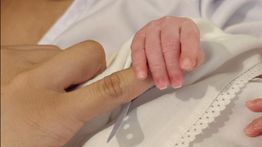 Selamat! Erika Carlina Melahirkan Anak Pertama, Diberi Nama Andrew Raxy Neil