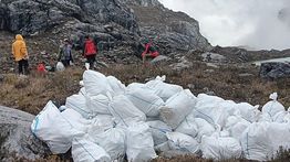 Freeport Kumpulkan 600 Kg Sampah dari Jalur Pendakian Carstensz