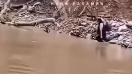Viral Bidan Bertaruh Nyawa Seberangi Sungai Demi Selamatkan Warga Sakit