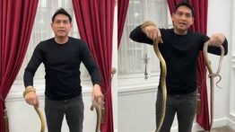 Lepas Ribuan Ular ke Sawah, Lucky Hakim: Gerakan Basmi Tikus