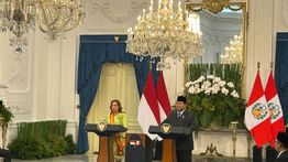 Prabowo Apresiasi Peru yang Konsisten Dukung Kemerdekaan Palestina