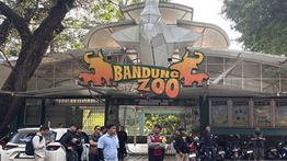 Pemkot Bandung Serahkan Konflik Bandung Zoo ke Ranah Hukum
