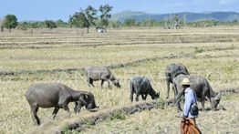 9 Wilayah di NTB Tetapkan Status Siaga Darurat Kekeringan
