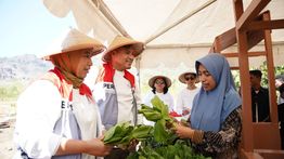 Bantu Petani di Pedalaman Labuan Bajo, PIS Salurkan 5 Juta Liter Air Bersih Lewat Pompa Tenaga Surya