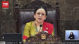 Puan Singgung Bendera One Piece di Sidang Bersama: Itu Kritik Kreatif!
