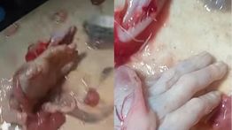 Viral! Emak-emak Temukan Tangan Dalam Perut Ikan