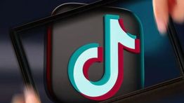 Kata-Kata Viral TikTok Seperti "Skibidi" dan "Delulu" Resmi Masuk Kamus Cambridge
