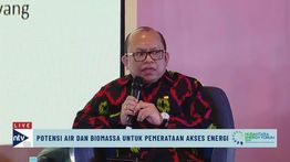 Potensi Biomassa di Indonesia Melimpah-ruah, Tembus 544 Juta Ton