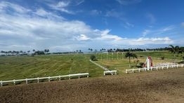 Indonesia's Horse Racing (IHR)-Merdeka Cup 2025: Track Cantik Tepi Pantai di Pangandaran Jawa Barat Jadi Tuan Rumah