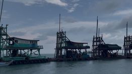 PT Timah Perketat Kerja Sama Mitra untuk Tekan Aktivitas Penambangan Ilegal