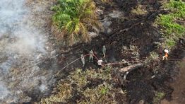 Karhutla Meluas di Aceh Selatan, Tim Gabungan Masih Berjuang Padamkan Api