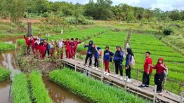 Perkuat Ketahanan Energi hingga Ketahanan Pangan, Pertamina Kembangkan 110 Inovasi lewat Program PFmuda