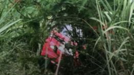 Calya Terjun ke Jurang Sedalam 20 Meter di Sukabumi, Hancur Berantakan